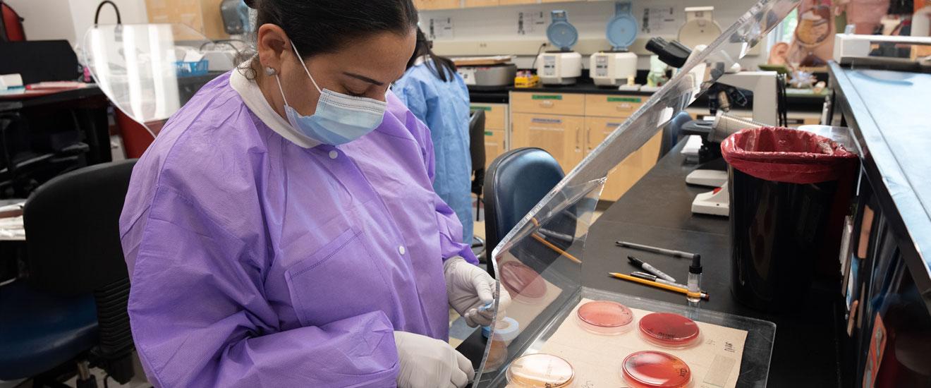 Medical students working in lab